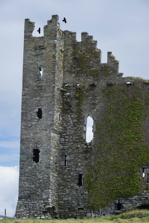Ballycarbery Castle view