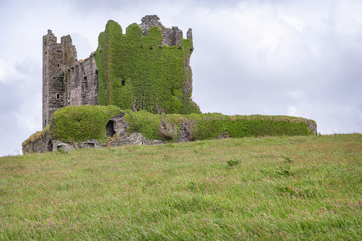 Ballycarbery Castle view